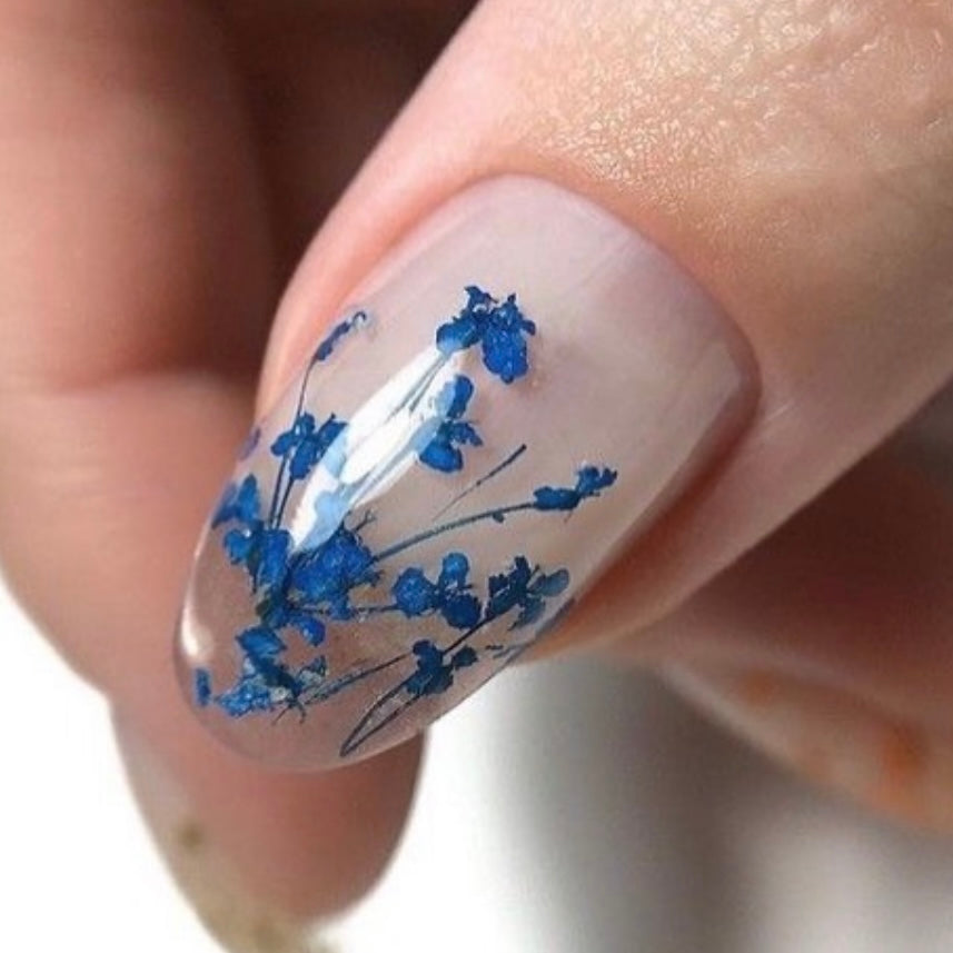 Dried flowers for nail design