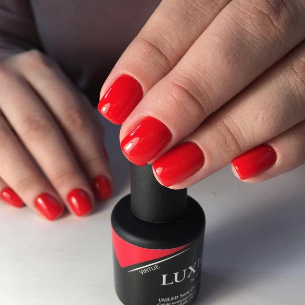 LUXIO by AKZENTZ - VIRTUE Gel Color